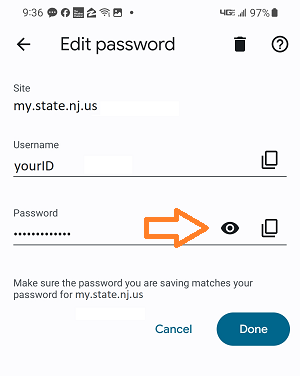 Image of Chrome Android password icon