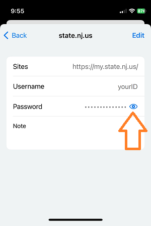 Image of Chrome iOS password icon