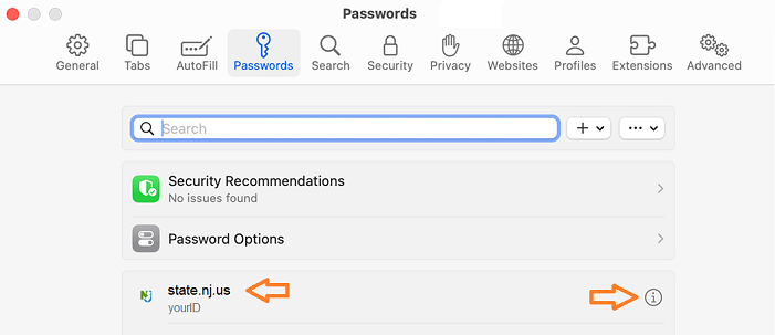 Image of Safari password list, type B