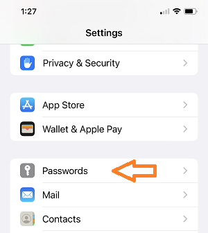 Image of iOS Passwords icon