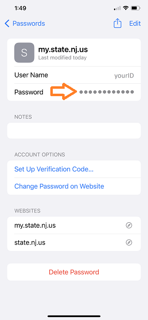 Image of iOS Passwords icon